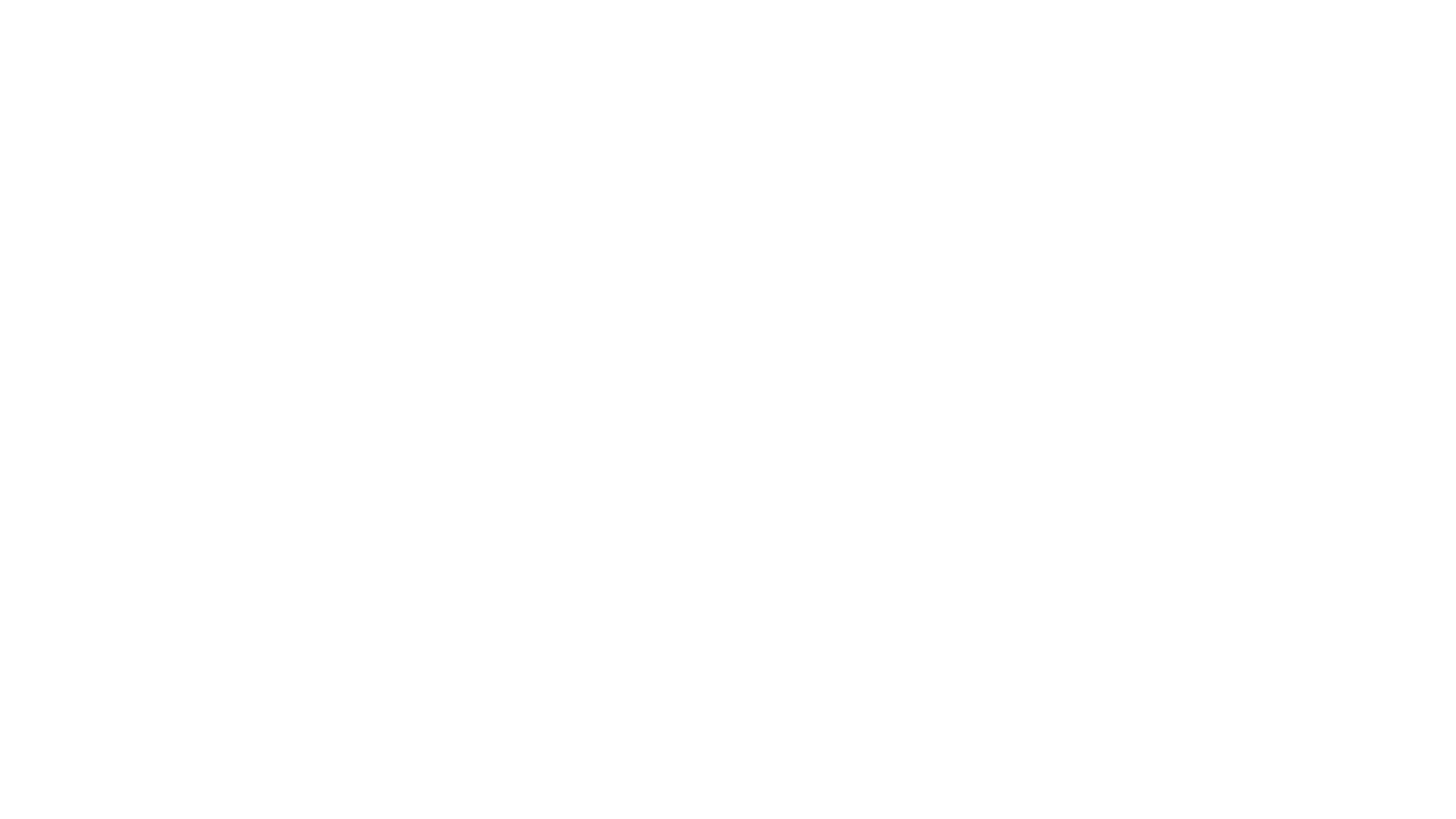 Leão Consultoria e Participações